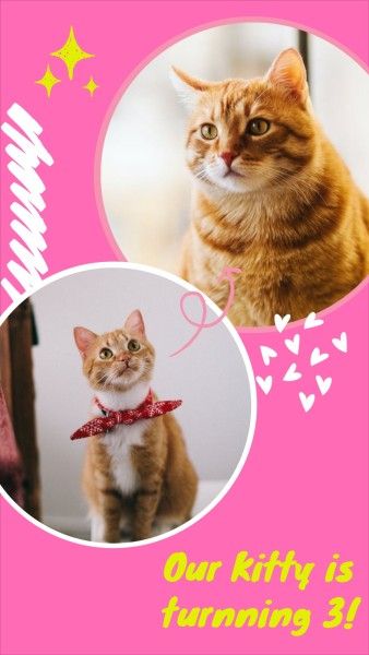photograph, love, life, Pink Cat Birthday Photo Collage Photo Collage 9:16 Template